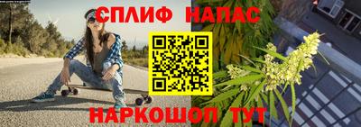 Альфа ПВП Краснокаменск