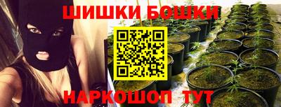 apvp Краснодар